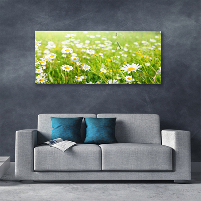 Quadro canvas Natureza do Prado Daisy