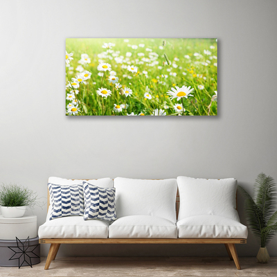 Quadro canvas Natureza do Prado Daisy