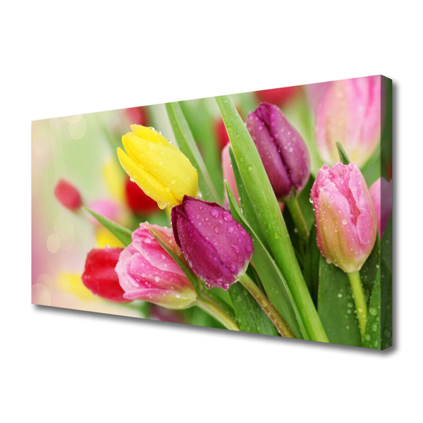 Quadro em tela Tulipas Flores Planta