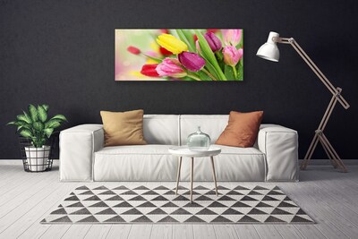 Quadro em tela Tulipas Flores Planta