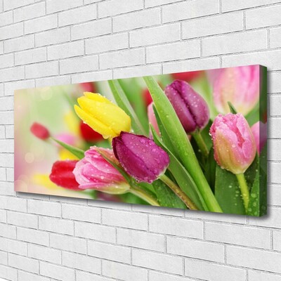 Quadro em tela Tulipas Flores Planta
