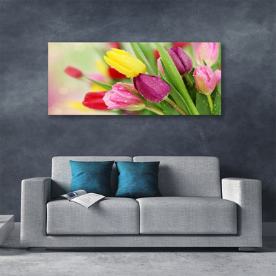 Quadro em tela Tulipas Flores Planta