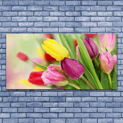 Quadro em tela Tulipas Flores Planta