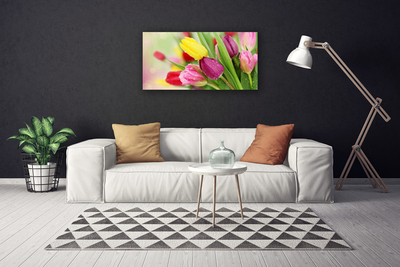Quadro em tela Tulipas Flores Planta