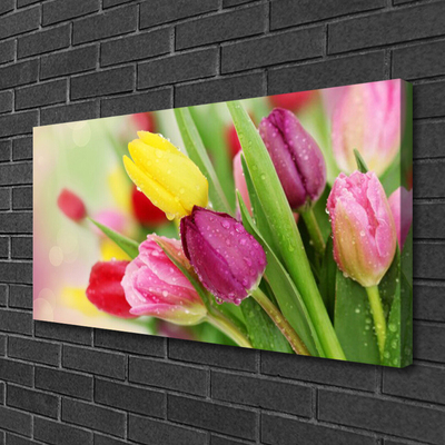 Quadro em tela Tulipas Flores Planta