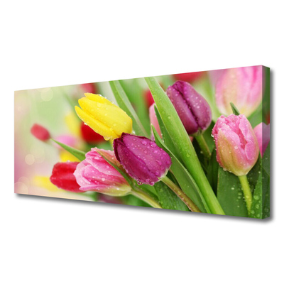 Quadro em tela Tulipas Flores Planta