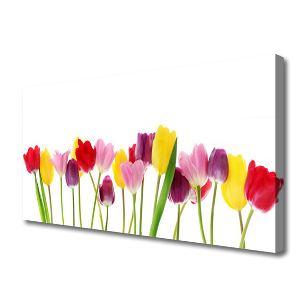 Quadro em tela Tulipas Flores Planta