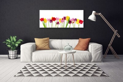 Quadro em tela Tulipas Flores Planta