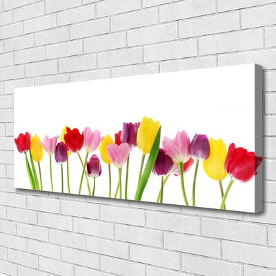 Quadro em tela Tulipas Flores Planta