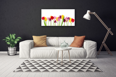 Quadro em tela Tulipas Flores Planta