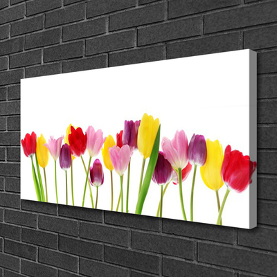 Quadro em tela Tulipas Flores Planta