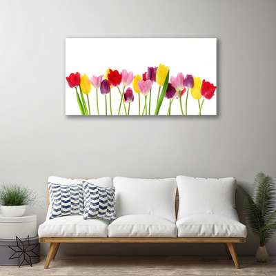 Quadro em tela Tulipas Flores Planta