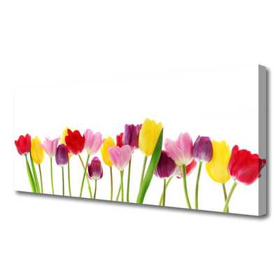 Quadro em tela Tulipas Flores Planta