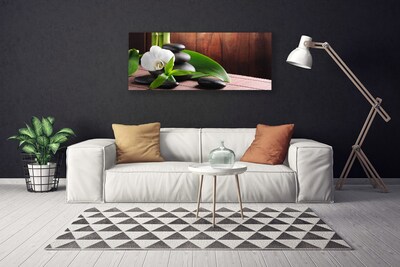 Quadro canvas Spa Flor Orquídea