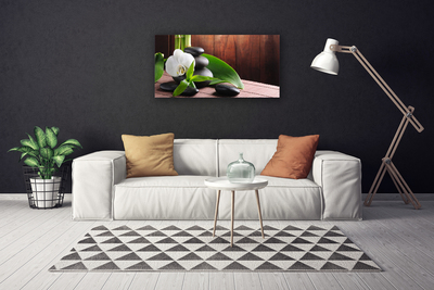 Quadro canvas Spa Flor Orquídea