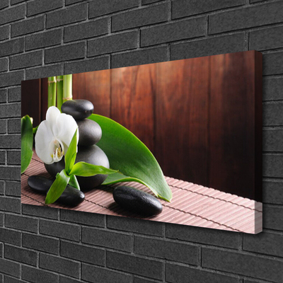 Quadro canvas Spa Flor Orquídea