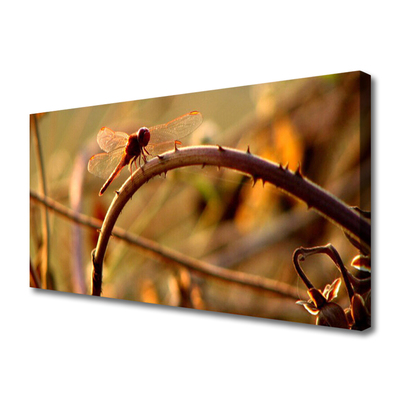 Quadro canvas Planta da Natureza da Libélula