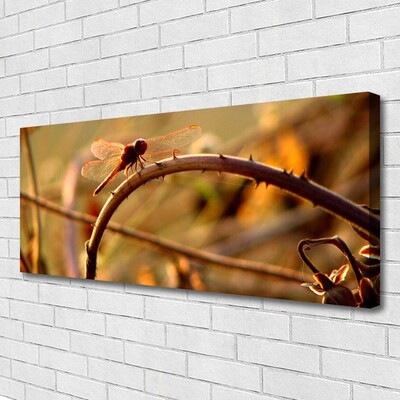 Quadro canvas Planta da Natureza da Libélula