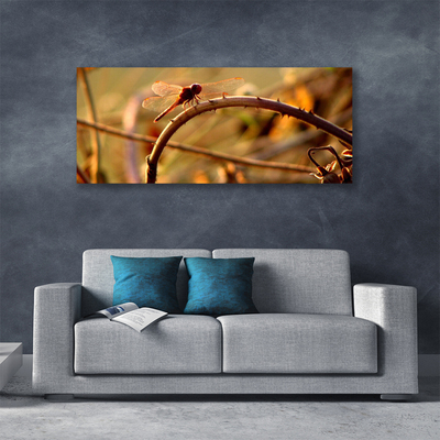 Quadro canvas Planta da Natureza da Libélula