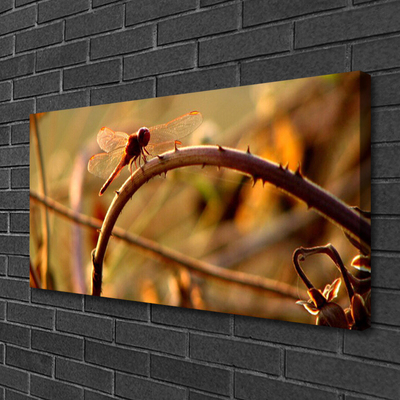Quadro canvas Planta da Natureza da Libélula