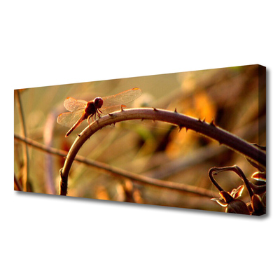 Quadro canvas Planta da Natureza da Libélula