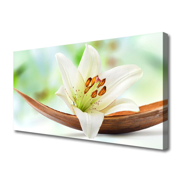 Quadro canvas Flor Planta Natureza