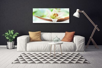 Quadro canvas Flor Planta Natureza