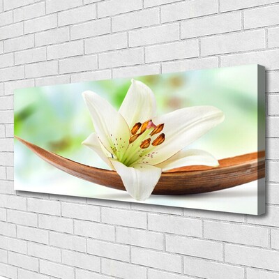 Quadro canvas Flor Planta Natureza