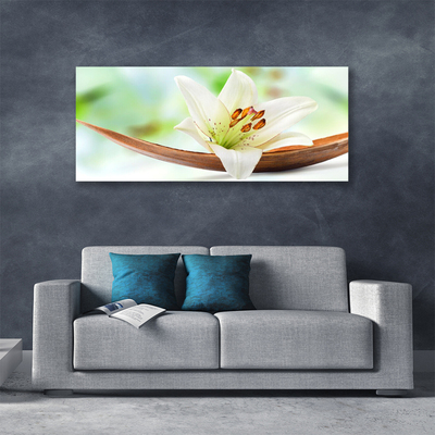 Quadro canvas Flor Planta Natureza