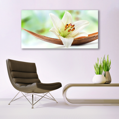 Quadro canvas Flor Planta Natureza