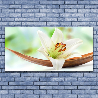 Quadro canvas Flor Planta Natureza