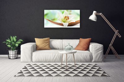 Quadro canvas Flor Planta Natureza