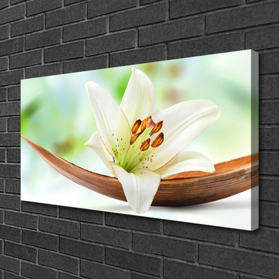 Quadro canvas Flor Planta Natureza