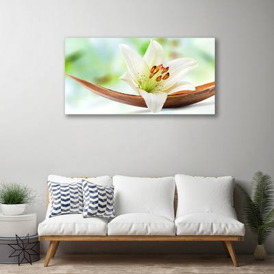 Quadro canvas Flor Planta Natureza