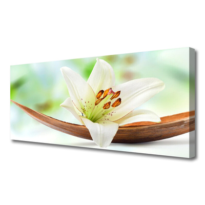 Quadro canvas Flor Planta Natureza
