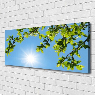 Quadro em tela Natureza do Sol