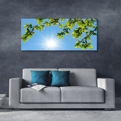 Quadro em tela Natureza do Sol