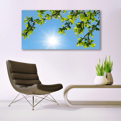 Quadro em tela Natureza do Sol