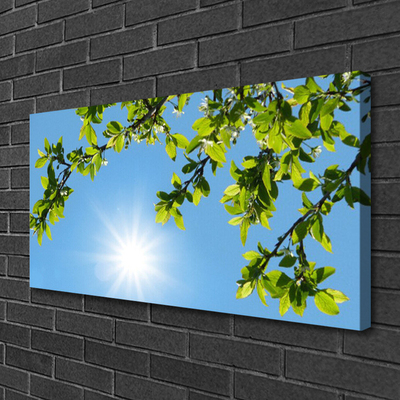 Quadro em tela Natureza do Sol