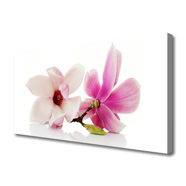 Quadro canvas Flores Planta Natureza
