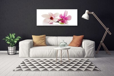 Quadro canvas Flores Planta Natureza