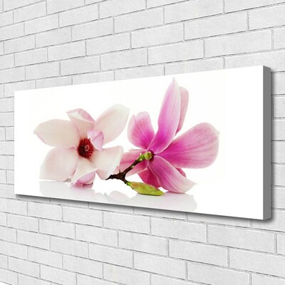 Quadro canvas Flores Planta Natureza