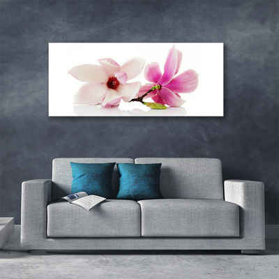 Quadro canvas Flores Planta Natureza