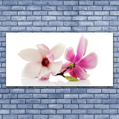 Quadro canvas Flores Planta Natureza