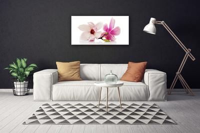 Quadro canvas Flores Planta Natureza