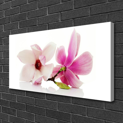Quadro canvas Flores Planta Natureza