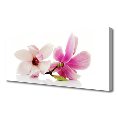 Quadro canvas Flores Planta Natureza