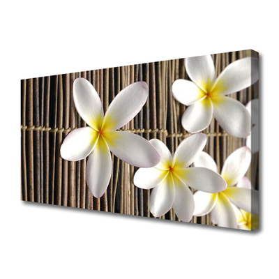 Quadro canvas Flores Planta Natureza