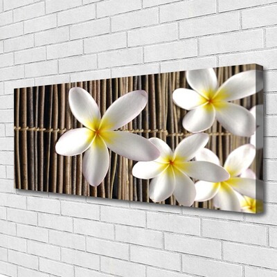 Quadro canvas Flores Planta Natureza