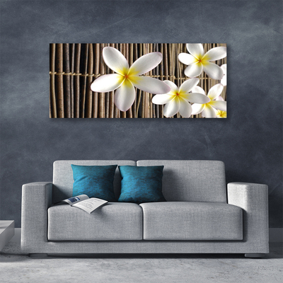 Quadro canvas Flores Planta Natureza